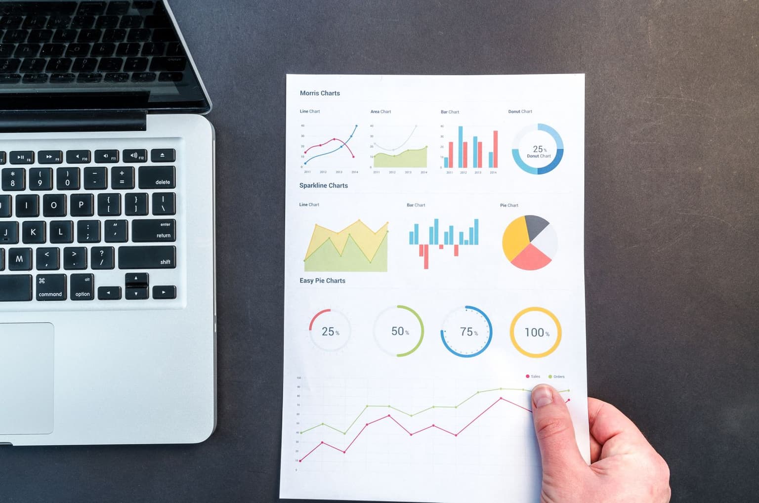 Grafici e dati utilizzati per analisi SEO