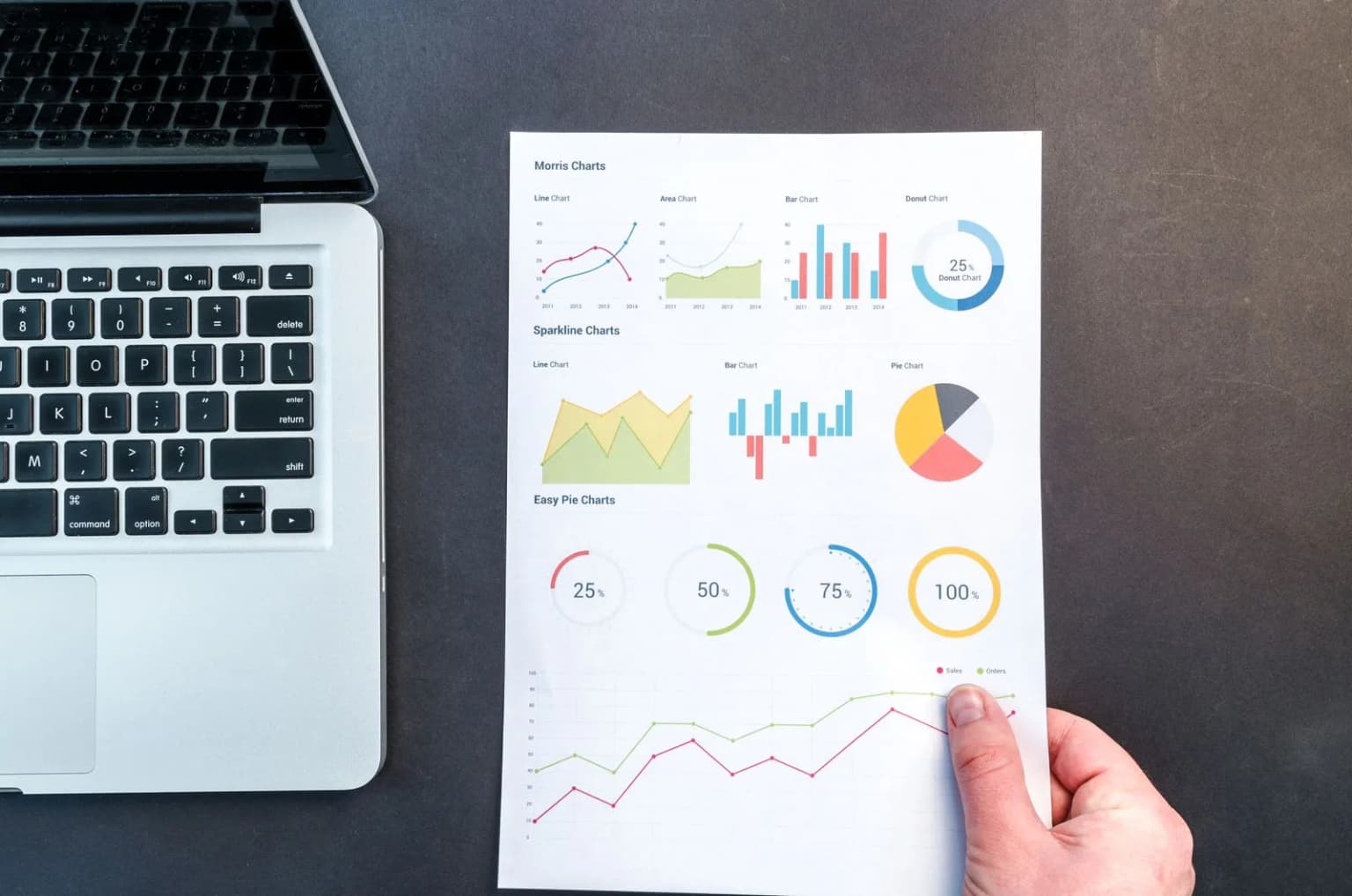 Grafici e dati utilizzati per analisi SEO